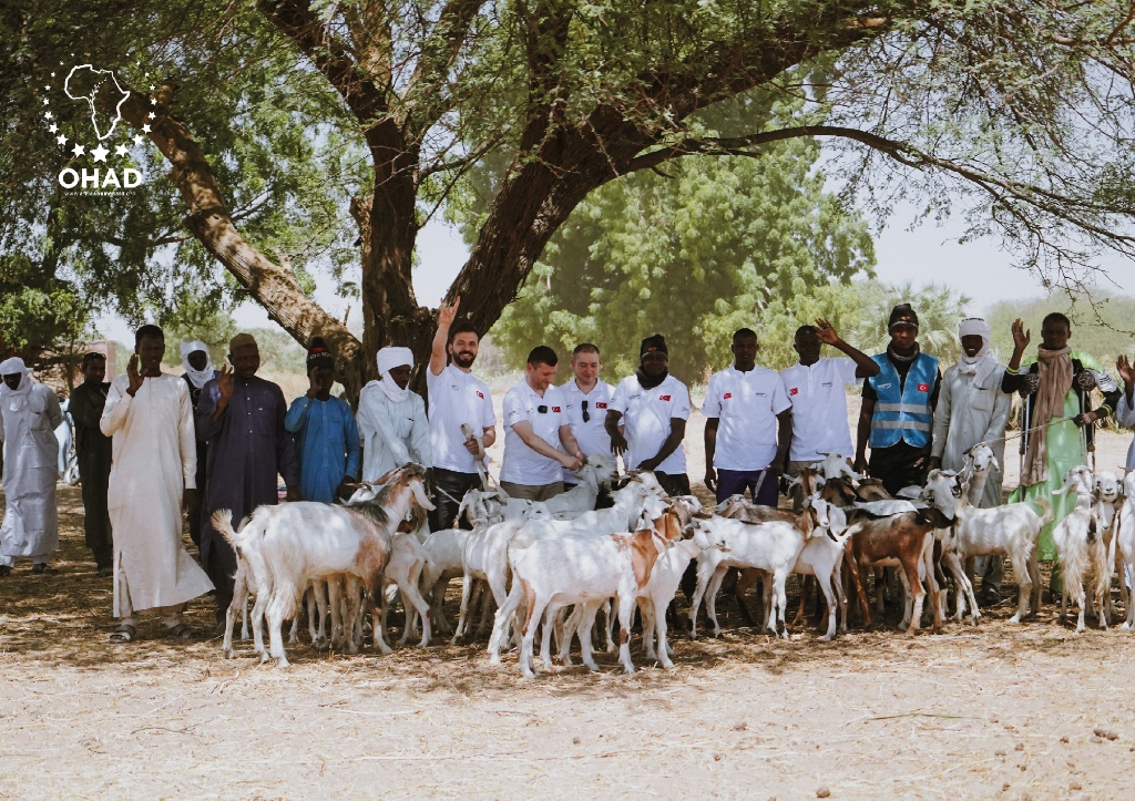 Development - goat distribution